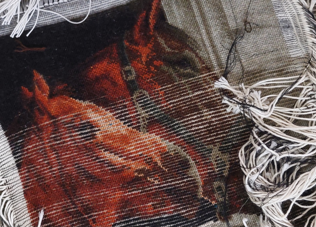 علت سفیدی پشت فرش