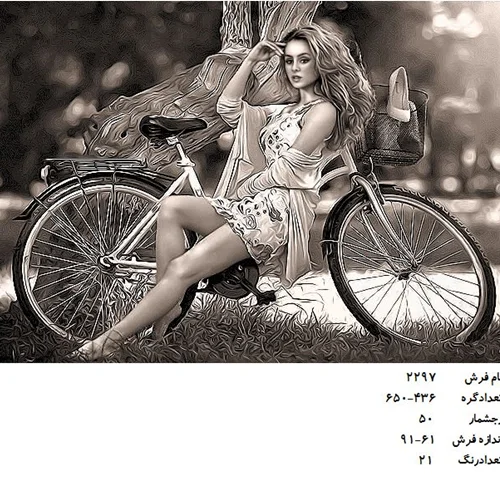 نخ و نقشه تابلو فرش طرح دختر دوچرخه سوار کد ۲۲۹۷