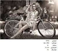نخ و نقشه تابلو فرش طرح دختر دوچرخه سوار کد ۲۲۹۷