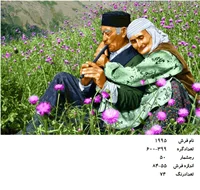 نخ و نقشه تابلو فرش دستبافت طرح عشق پیری کد ۱۹۹۵