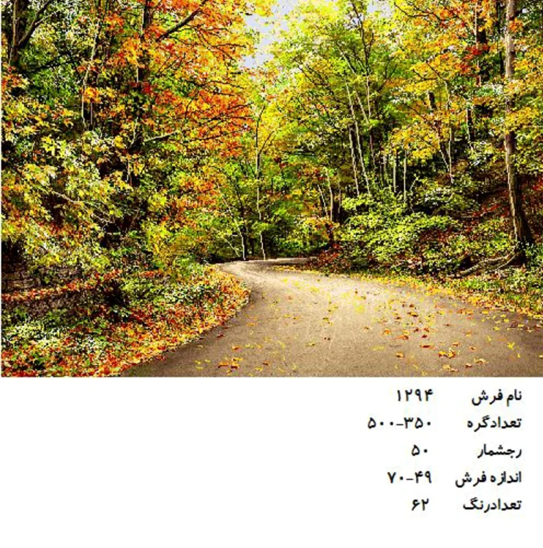 نخ و نقشه تابلو فرش دستبافت  طرح  منظره  کد ۱۲۹۴