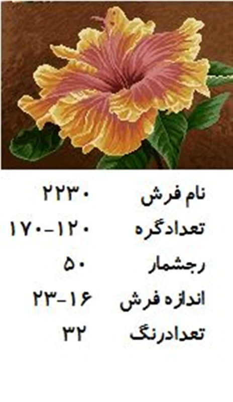 نخ و نقشه تابلو فرش دستبافت طرح گل کد ۲۲۳۰