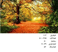 نخ و نقشه تابلو فرش دستبافت  طرح  منظره  کد ۱۱۲