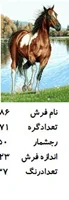 نخ و نقشه تابلو فرش دستبافت  طرح  اسب کد ۲۱۸۶