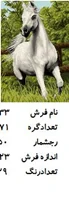 نخ و نقشه تابلو فرش دستبافت  طرح اسب کد ۲۲۳۳