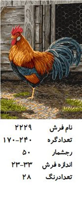 نخ و نقشه تابلو فرش دستبافت  طرح  خروس کد ۲۲۲۹