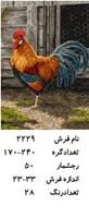 نخ و نقشه تابلو فرش دستبافت  طرح  خروس کد ۲۲۲۹