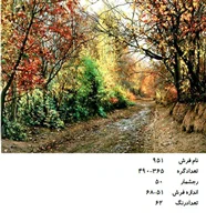 نخ و نقشه تابلو فرش دستبافت طرح منظره کد ۹۵۱